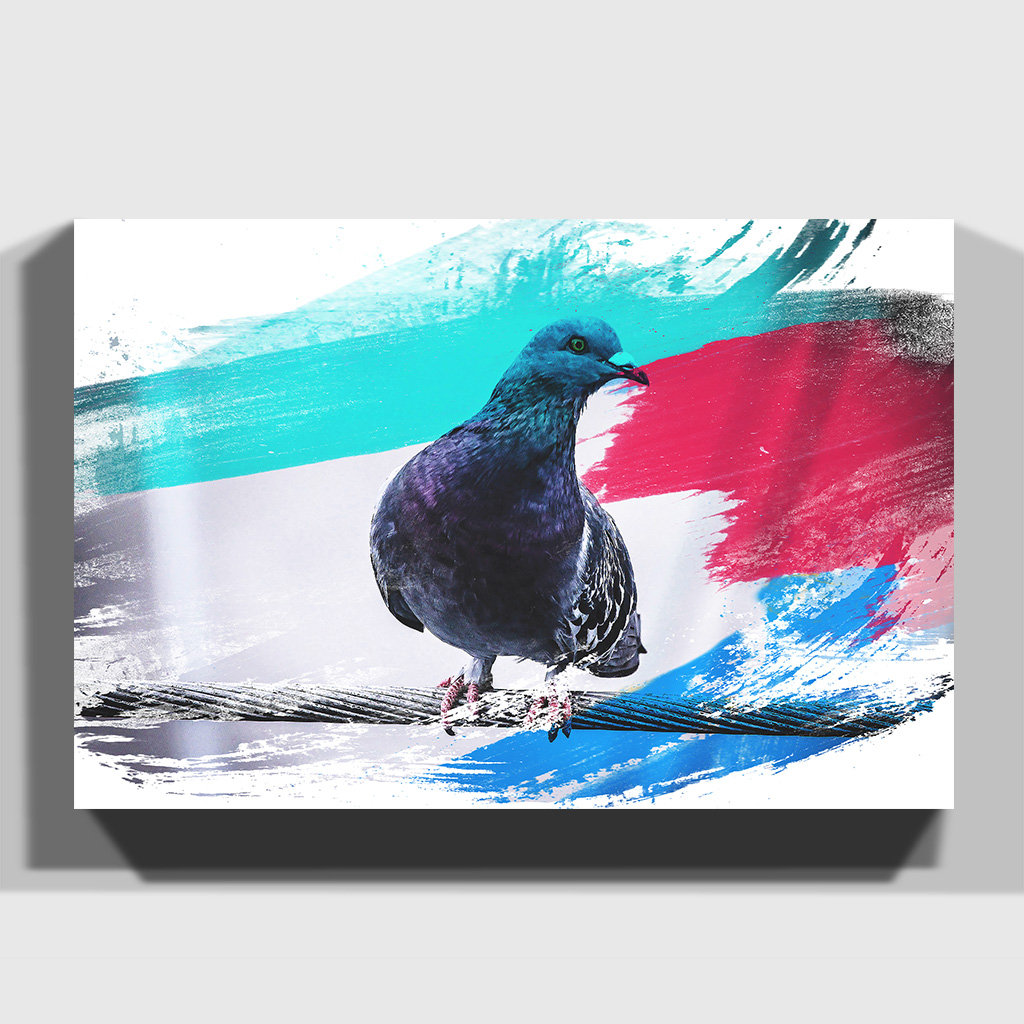 Pigeon Bird - Wrapped Canvas
