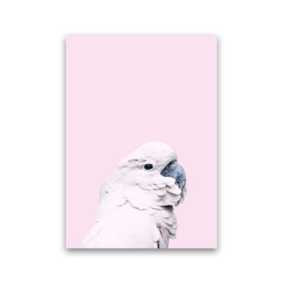 Pink Cockatoo 1 Piece Wall Art