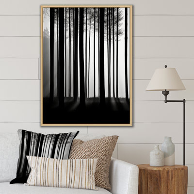 " Black And White Forest Silence Photography II "