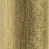 Brushed Brass Lacquered
