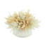 Faux Pampas Grass Grass in Ceramic Vase