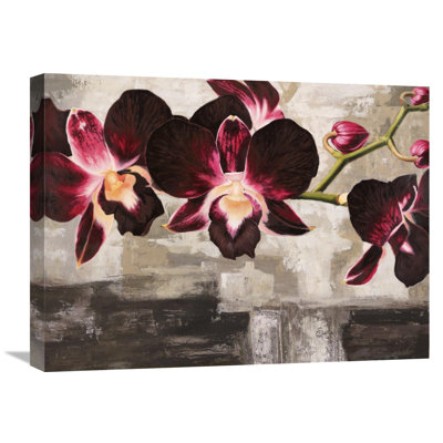 " Velvet Orchids " by Shin Mills