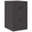 Storage Cabinet-1733305504
