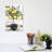 Lemon Tree - Wrapped Canvas Print-1235392402