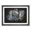 Colourful Forest - Framed Print-56916991-56916993