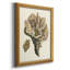 Toile encadrée antique Coral III de qualité supérieure - prête à être accrochée-1720200939