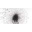 Silhouette Of Dandelion Print On Canvas-98694072