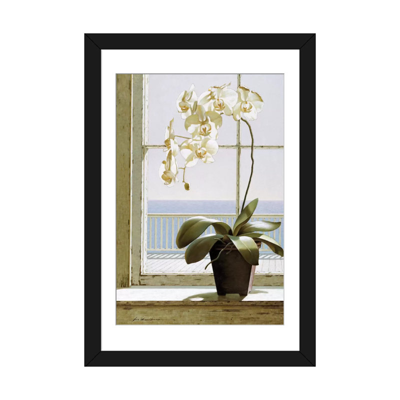 Fleur dans une fenêtre, reproduction d'art sur toile tendue, H 24 po x l 16 po x P 1 po, Papier d'art encadré noir, Blanc