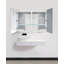Tyrius 40 " W X 30 " H Surface and Recessed Frameless Medicine Cabinet with Mirror