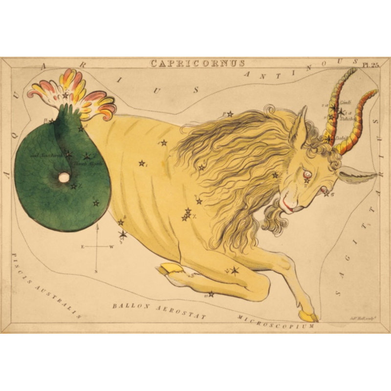 Capricornus Print by Grand Archives, Gold Framed, 32" H x 45" W