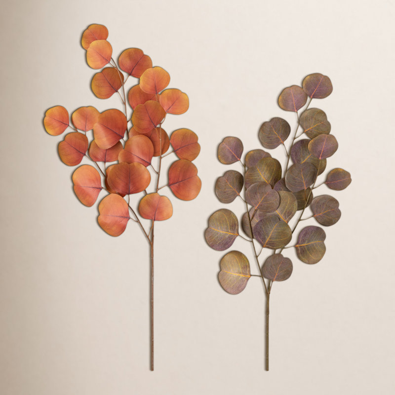 Eucalyptus Arrangement