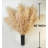 10 PCS Tall Pampas Grass Stems In Natural Beige, Add A Boho Touch To Your Spaceâ€”Pompas Grass Ideal For Floral Arrangements, Floor Vases, Weddings, And Creating A Bohemian Ambiance At Home.