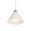 Daya 1 - Light Pendant by Renwil