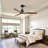 Nicola 52'' 3 - Blade Modern Ceiling Fan with Remote Control and Light Kit-1194857035