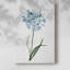 Garden Botanical I -Galery Enveloppé Cavas-108843608