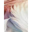 Altoona 32.97cm x 20.87cm Matte Roll-818789762