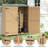 10'x 10'Wooden Outdoor Storage Cabinet with Waterproof Roof & Lockable Doors, 2 Shelves Tool Shed for Yard/Garage