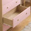 Kayshia 5 Drawer Chest-1624088883