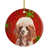 Caniche miniature rouge