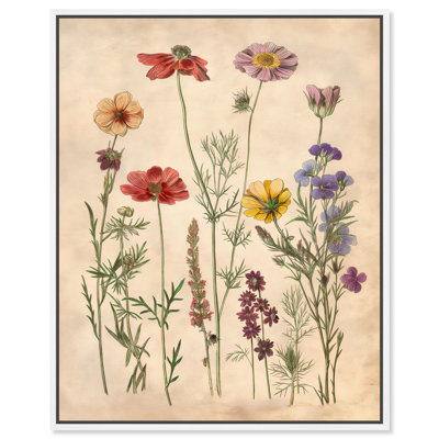 «Pollinator Portrait II», art floral délicat par Art Remedy