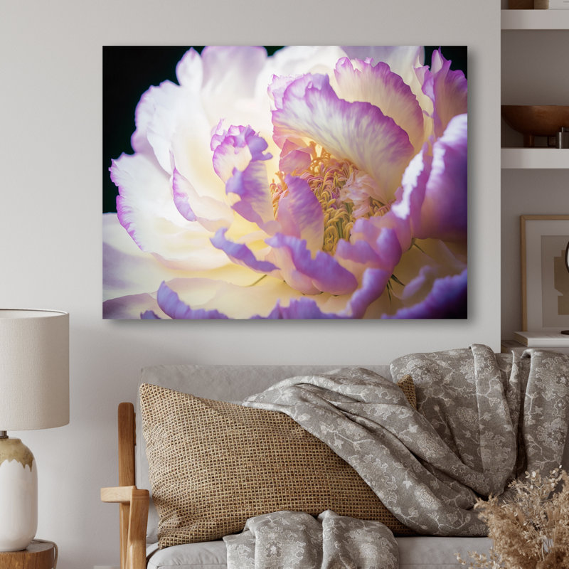 «Blossoming Pink and White Peony III», reproduction sur toile, H 12 po x l 20 po x P 1 po, Toile tendue