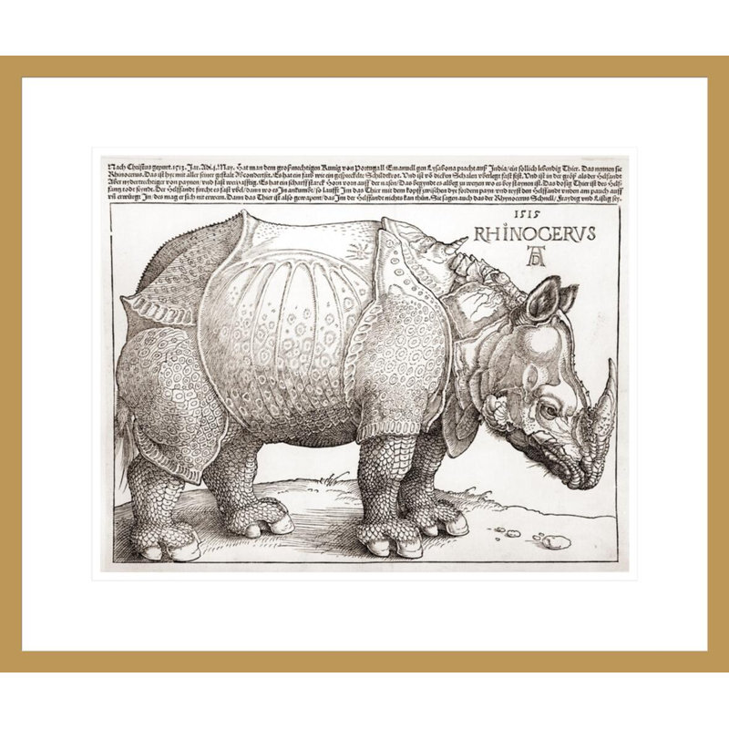 «The Rhinoceros» par Albrecht Dürer, impression giclée sur cadre, H 17,75 po x l 20,96 po