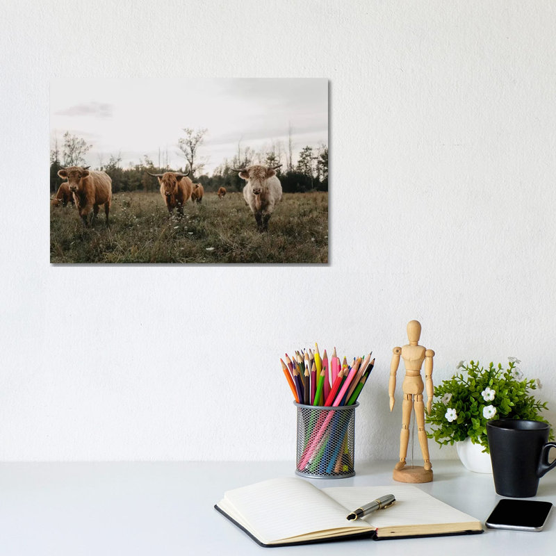Highland Cows At Sunset by Chelsea Victoria - Wrapped Canvas Print, Wrapped Canvas, 20.32 cm H x 30.48 cm W