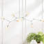 Daniella 8 - Light Chandelier