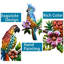 Décoration murale perroquet tropical