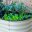 Lit de jardin surélevé Roede-881603628-929403029