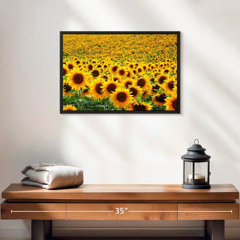 Champ de tournesols sans fin Alvord, H 13 po x l 19 po