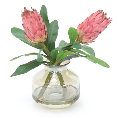 Polysilk Protea Arrangement in Vase