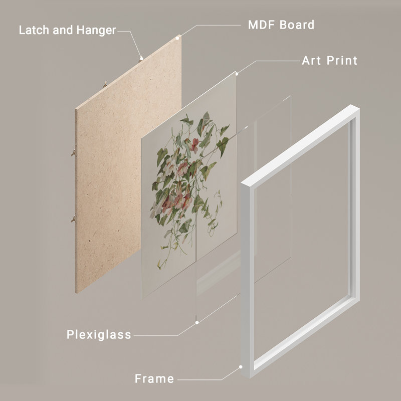 "Modern Morning Glory, H 14 po x l 11 po, Blanc