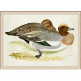 Plumage 8 Painting
