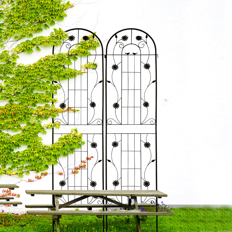 Paquet de 2 treillis de jardin en métal antirouille pour plantes grimpantes, H 86,7 po x l 78,7 po x P 0,2 po, Noir