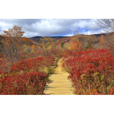 Flintwood Graveyard Fields by (c) Sean Board - Wrapped Canvas Print