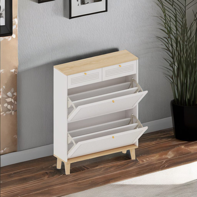 Shoes Storage Cabinet