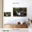 Ruisseau Alvord Smoky Mountains-108872450