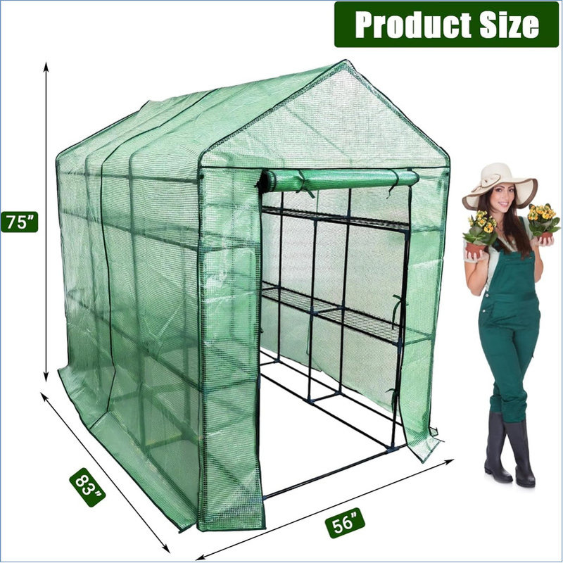Mini Walk-in Greenhouse 56×83×75Inch, Portable Flower Garden Plant Kit Outside, Heavy Duty Small Plant House with Thicken PE Cover and Steel Frame, for Garden, Outdoors, Indoors