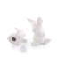 Salt & Pepper Shaker