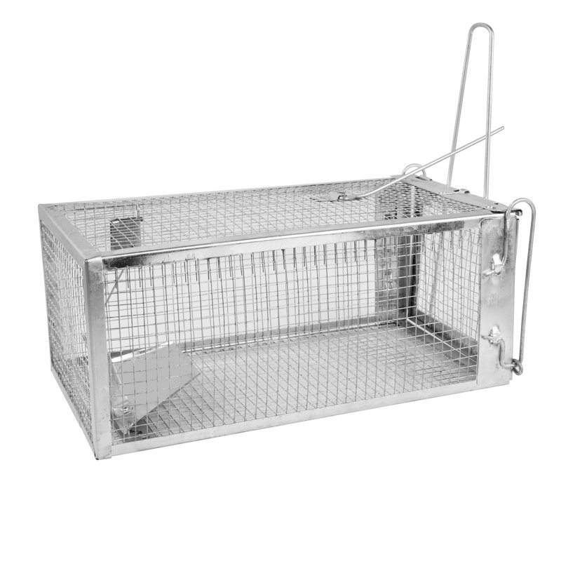1Pc Cage à piège à rat Humane Live