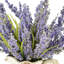 Heather Floral Arrangement in Pitcher-208213010