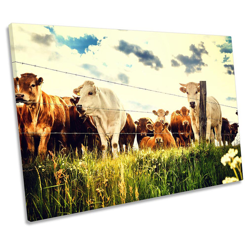 Z0423 Cow Field Farm - Wrapped Canvas Print, 30.5cm H  x  45.7cm W 