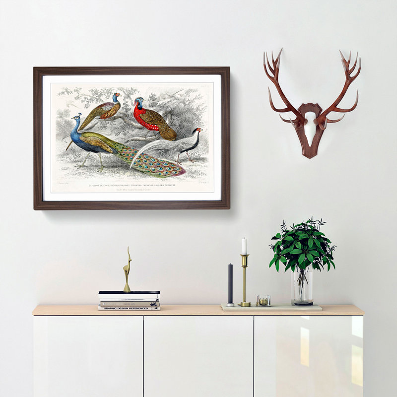 Peacock & Pheasants by Oliver Goldsmith - Picture Frame Painting Print, 36cm H x 48cm W x 2cm D, Walnut Framed