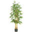 Bambou en soie-784335795