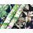 Helbon Floral Double Roll-1006494914