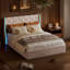 Acamas Upholstered Ottoman Storage Bed-1202104960