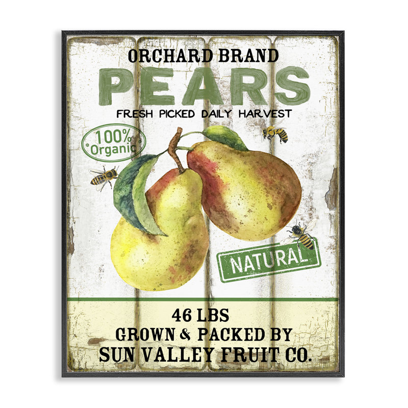  «Farm Orchard Pears», estampe numérique par Creatif Belle, H 14 po x l 11 po, Giclée encadrée noir minuit