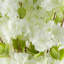 Plastic, Silk Artificial Arrangement