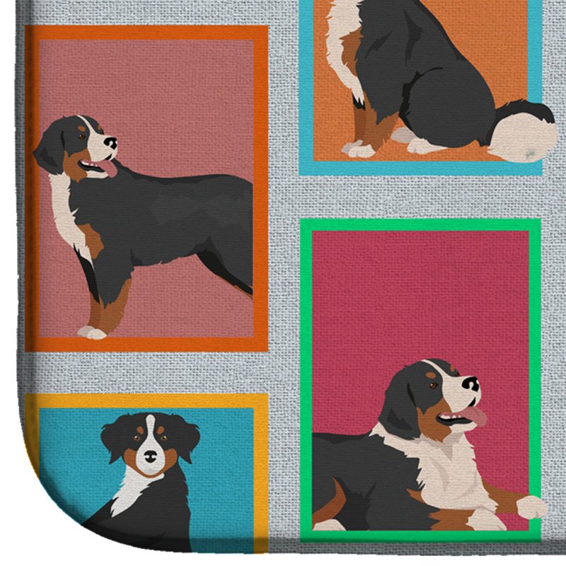 Tapis de séchage